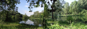 Les étangs de Villers sur Thère